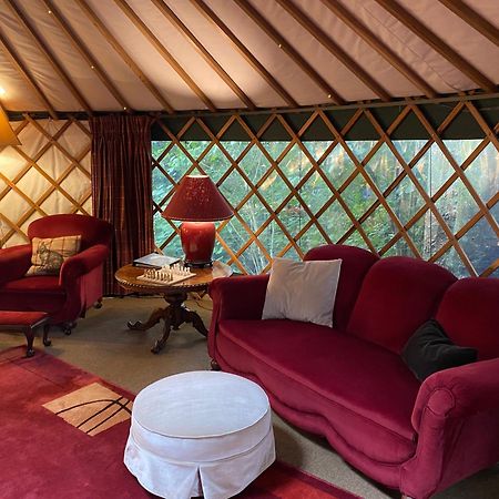Nikau Sanctuary Hotell Raglan Eksteriør bilde