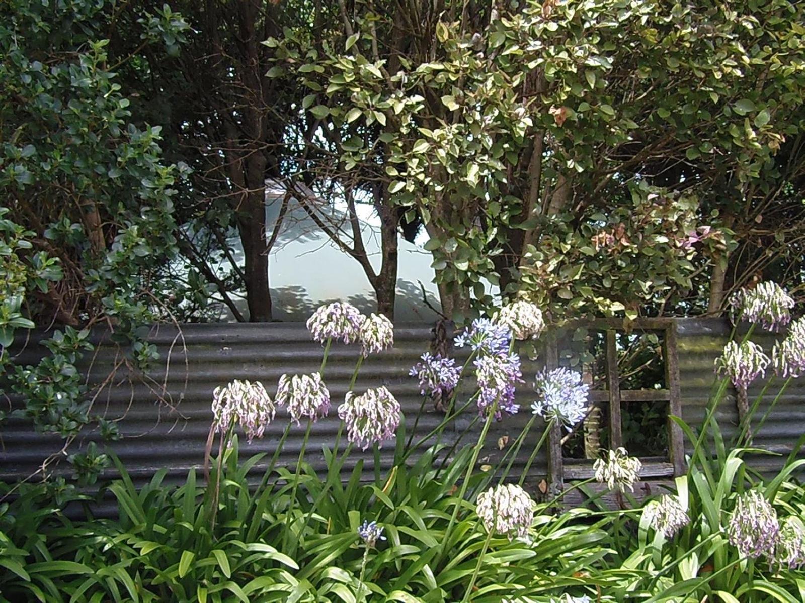 Nikau Sanctuary Hotell Raglan Eksteriør bilde